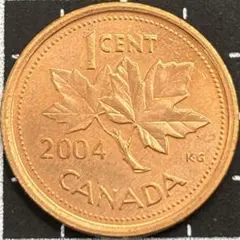 カナダ 1セント メープル 2004年 外国コイン 古銭