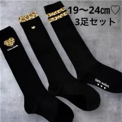 Item thumbnail for item 3d55745d-8680-4992-b7dd-2a498538f6b2