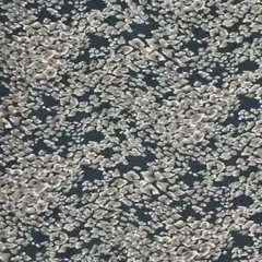 布地 生地 黒地に濃淡の茶色の柄 幅108×長さ170cm