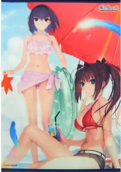 B2タペストリー ゲーム「魔法使いの夜」蒼崎青子＆久遠寺有珠(水着ver