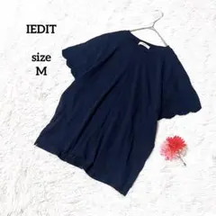 IEDIT 半袖カットソー 袖刺繍 無地 綿100% シンプル 大人カジュアルのサムネイル