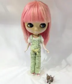 ネオブライス シンプリーグァバ 2026年最新】ブライス シンプリーグアバの人気アイテム - メルカリ