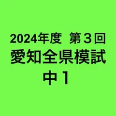 2026年最新】愛知全県模試の人気アイテム - メルカリ
