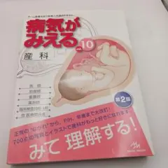 最終値下⭐️病気がみえる10冊セット⭐️送料込 病気がみえる - チーム医療を担う医療人共通のテキスト