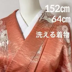 洗える着物 色無地