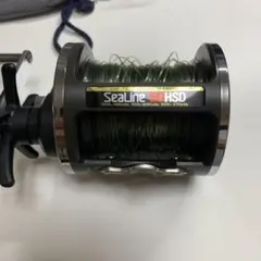 【希少品】Daiwa SeaLine スカイライン　300 #石鯛 シーライン石鯛 / シーライン石鯛 遠投(リール)｜DAIWA