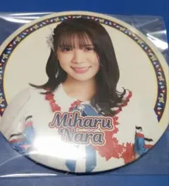 Item thumbnail for item a393650d-0330-4f32-9bb9-2ff2e4f06ff8