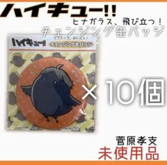 希少!! 入手困難!! ハイキュー!! 菅原孝支 カラスの羽 ヒナガラス