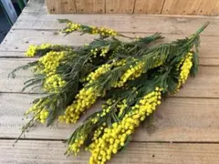 Fluffy様 リクエスト 3点 まとめ商品