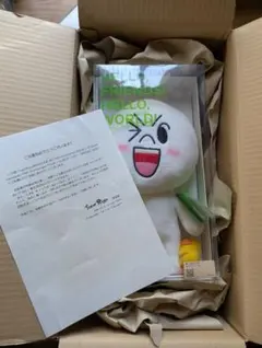 激レア 浜崎あゆみ TeamAyu 会報クイズ 当選品 LINE ぬいぐるみ 限定非売品 浜崎あゆみ TeamAyu 15周年クイズ当選 LINE ぬいぐるみ