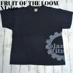 アメリカ古着　Tシャツ フルーツオブザルーム アメカジ　プリント　USA古着