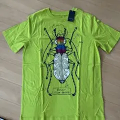 10月11日までの出品です 新品 LANDS’END Tシャツ