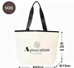 大人ミューズ　3月号付録　アクアスキュータム　ビッグトート