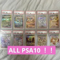 【PSA10】テラスタルフェス　SAR 10枚セット　ブイズ