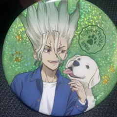 Dr.stone きらきら缶バッジwith dogs ver石神千空ジャンフェス - メルカリ
