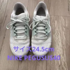 Item thumbnail for item 51cefe72-b702-43e9-a7a9-3ceeeb28f9a9