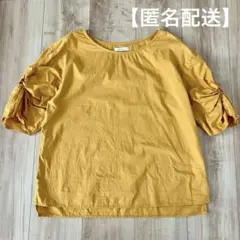 Item thumbnail for item 4f1a81d9-996f-4475-bf98-2abcc7a1d092