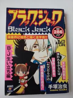 3冊士郎政宗のイラスト集イントロデポ1.2 ブラックマジック M66 絵