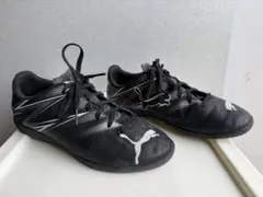 Item thumbnail for item 189d2e67-854f-461a-a377-1bfa08859a58