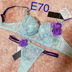 タグ付き未使用 サルート ブラ ショーツ  66グループ ペア セット  E70