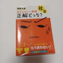 Item thumbnail for item 8d22dfe7-e9eb-44a4-8cb0-9ffac989d5c3