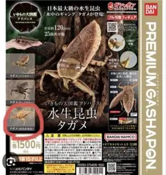 いきもの大図鑑 アドバンス