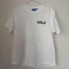 着用回数少ないUCLAキッズ150センチ☆Tシャツ（綿100%）