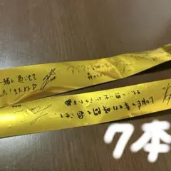 Item thumbnail for item 50e549ce-5d0e-4147-9cff-64b70012c066