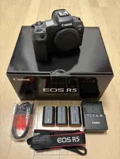 Item thumbnail for item d0a875a3-aaa0-4f74-b425-cd588e1df54c