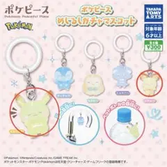 ポケピース めじるしアクセサリー