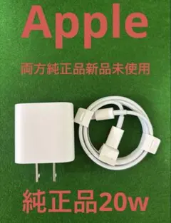 Apple 純正品充電器USB-Cとケーブル セット