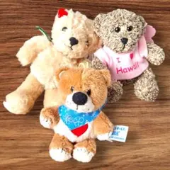 幸せを呼ぶくまさん スージーズー ハワイ限定 キーホルダー ぬいぐるみ ベア 熊