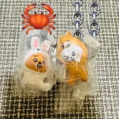 SKZOO スキズ リービット ハンクォッカ セット ③