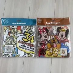 ディズニーリゾート　ウォッシュタオル　2枚セット