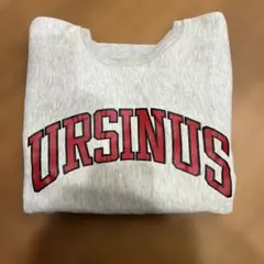 2段アーチロゴ リバースウィーブ　champion 90s 刺繍タグ M