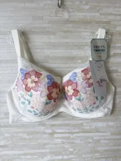 D80」トリンプ 天使のブラ 魔法のハリ感566 ブラジャー