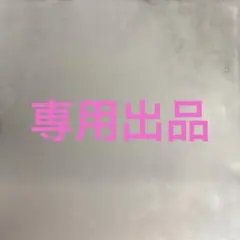 ブルーベリー様専用　スズランとキダチアロエ　抜き苗