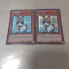 Item thumbnail for item 3771a516-530d-4862-b6b3-eee6385d7903