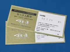 値下げ❗️通常2人7,000円が1,000円もお得 みなとみらい 万葉セット入館券
