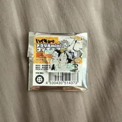 ハイキュー アクリルminiフィギュア 及川徹 岩泉一