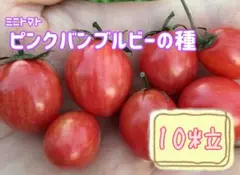 ゆずこ様 リクエスト 5点 まとめ商品