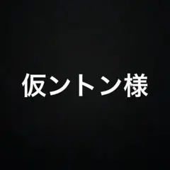 仮ントン様 リクエスト 3点 まとめ商品
