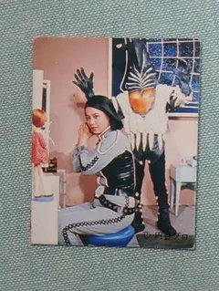 2025年最新】ウルトラセブンカード友里アンヌ隊員の人気アイテム