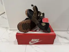 Item thumbnail for item 4f706d40-6912-48d3-a185-3c5203557290