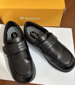 Item thumbnail for item 8ed56331-cb0c-4a65-998d-3ff3c11d2c2d