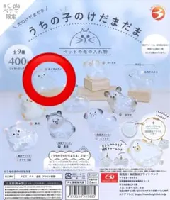 うちの子けだまだま　ポメラニアン　カプセルトイ　犬