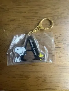 スヌーピー アクリルキーホルダー セット