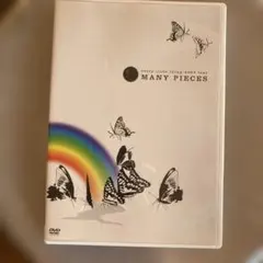 エブリリトルシング: 2004 tour MANY PIECES DVD
