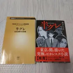半グレ　2冊セット