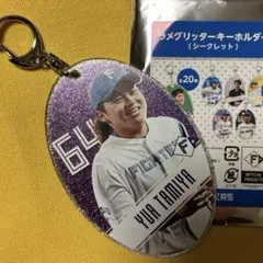 田宮裕涼 応援グッズ